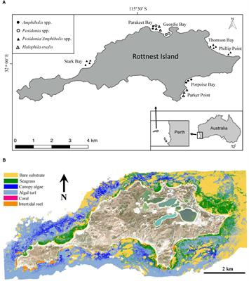 Contribution of Seagrass Blue Carbon Toward Carbon Neutral Policies in a Touristic and Environmentally-Friendly Island